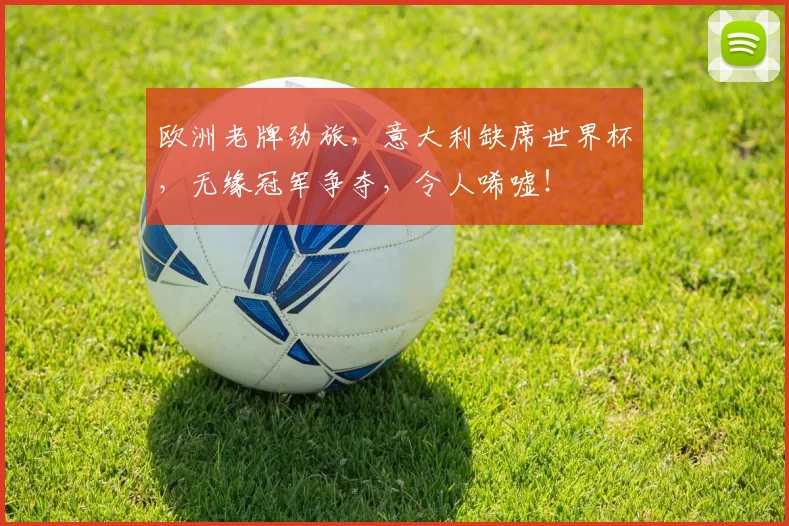 欧洲老牌劲旅，意大利缺席世界杯，无缘冠军争夺，令人唏嘘！