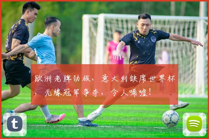 欧洲老牌劲旅，意大利缺席世界杯，无缘冠军争夺，令人唏嘘！